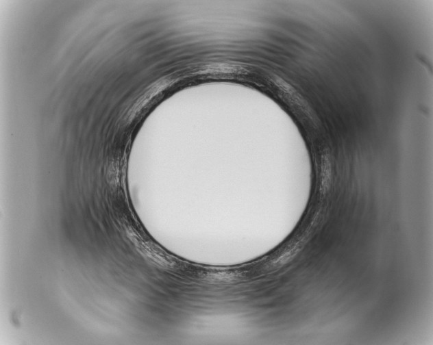 X0000099321017200805301211