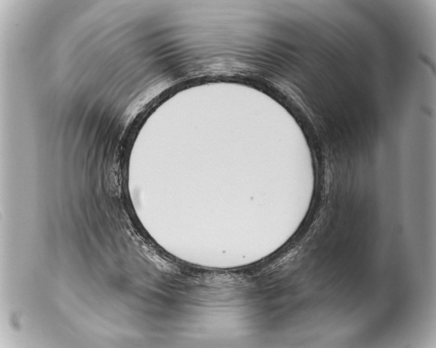 X0000099321018200805301211