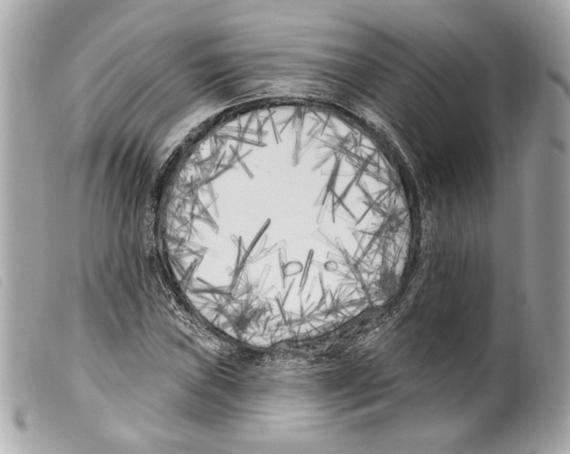 X0000099321019200805301211
