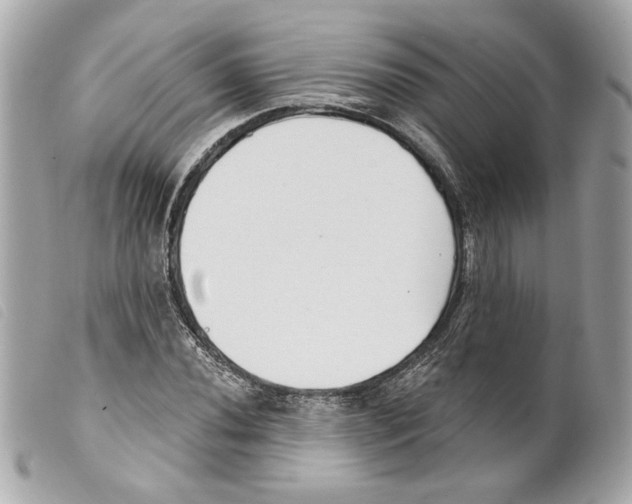 X0000099321020200805301211