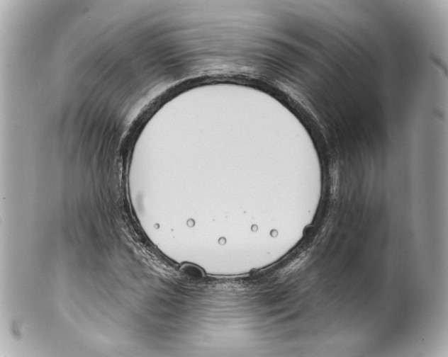 X0000099321021200805301211