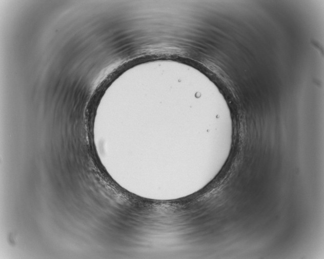 X0000099321022200805301211
