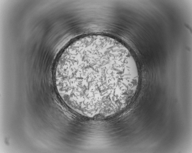 X0000099321023200805301211
