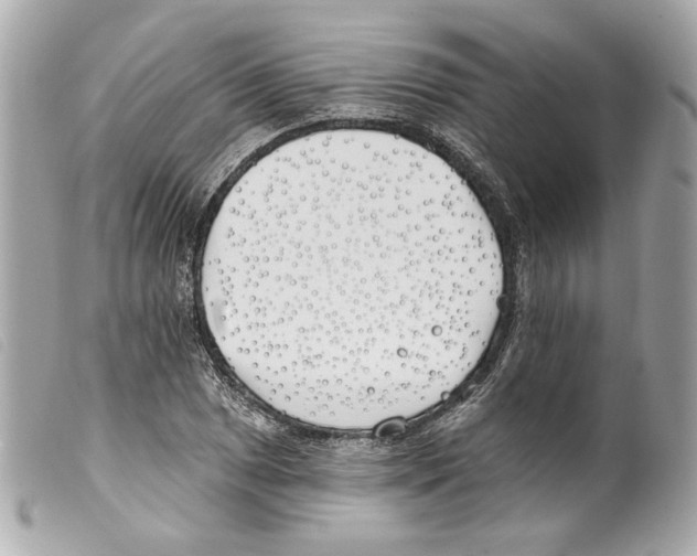 X0000099321025200805301211