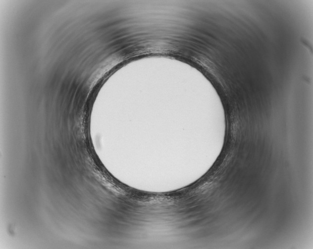 X0000099321026200805301211