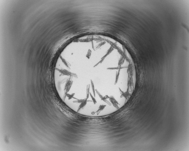 X0000099321027200805301211