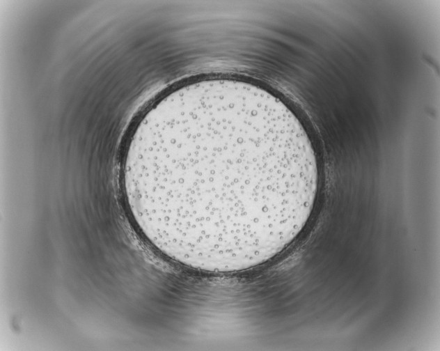 X0000099321029200805301211