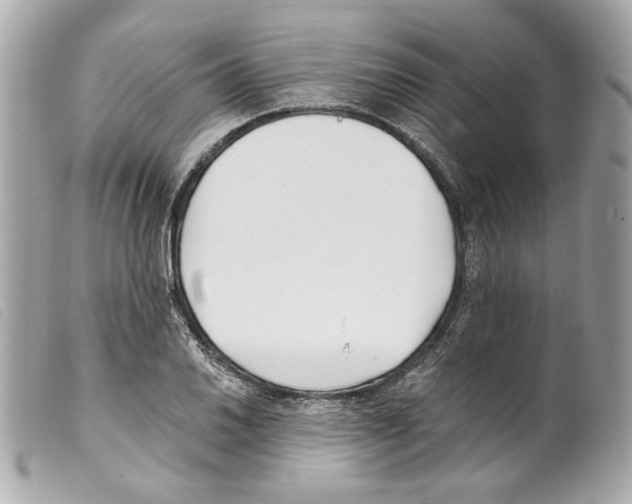 X0000099321030200805301211