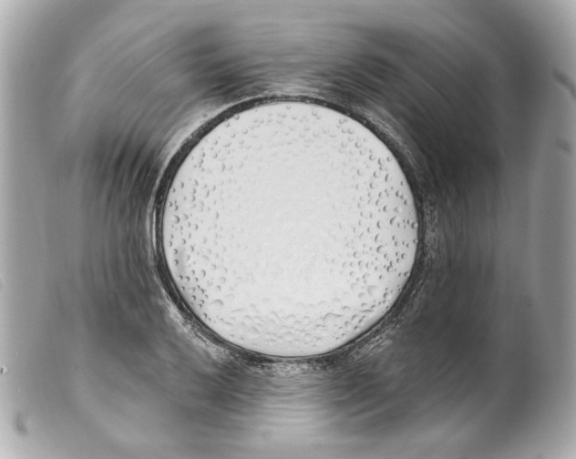X0000099321032200805301211