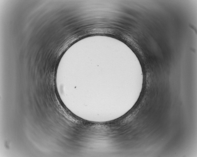 X0000099321033200805301211