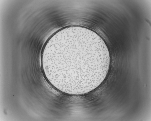X0000099321036200805301212