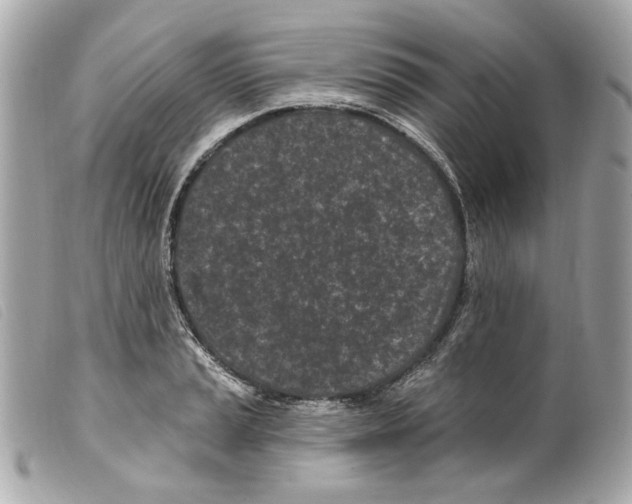 X0000099321037200805301212