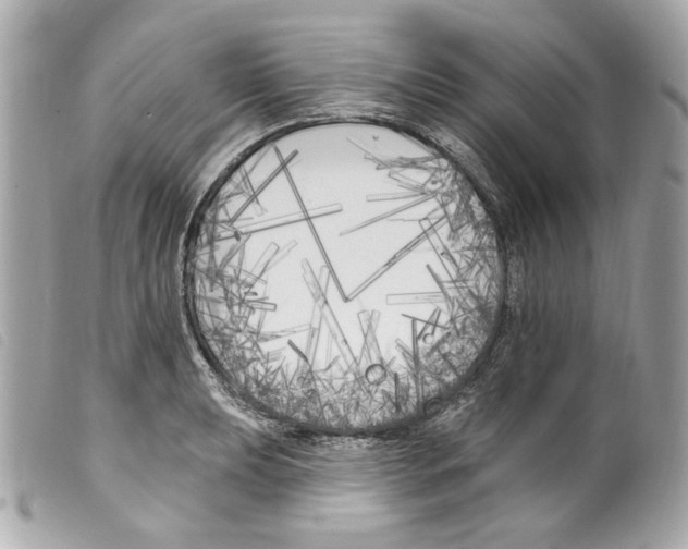 X0000099321039200805301212
