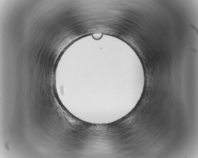 X0000099321040200805301212