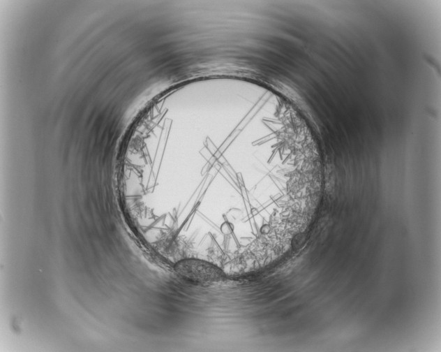 X0000099321043200805301212