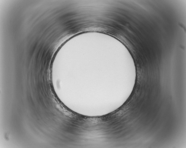 X0000099321044200805301212