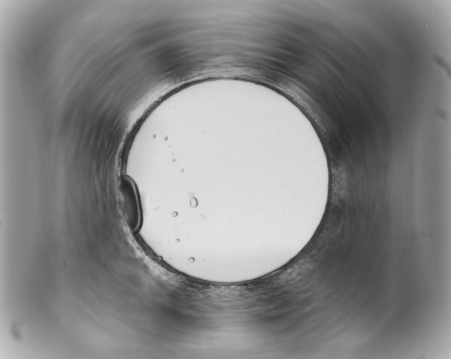 X0000099321046200805301212