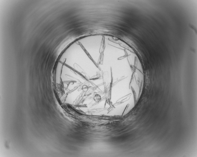 X0000099321047200805301212