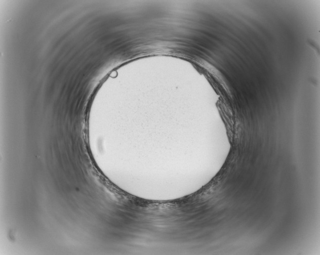 X0000099321051200805301212