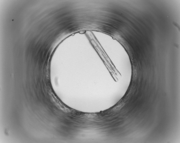 X0000099321052200805301212
