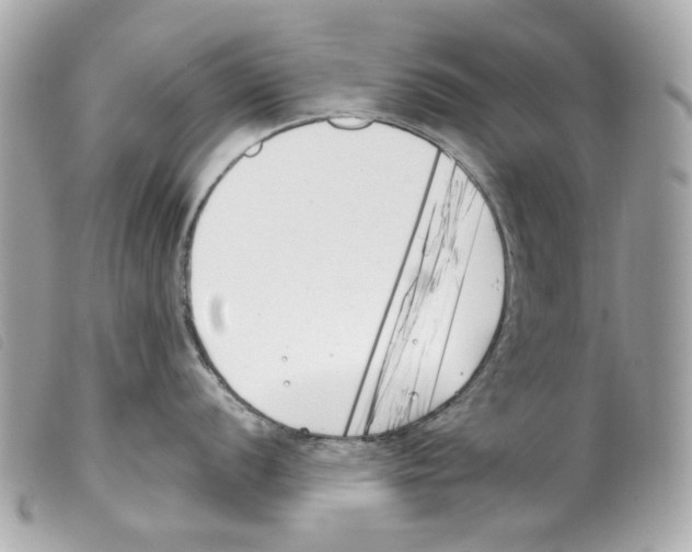 X0000099321056200805301212