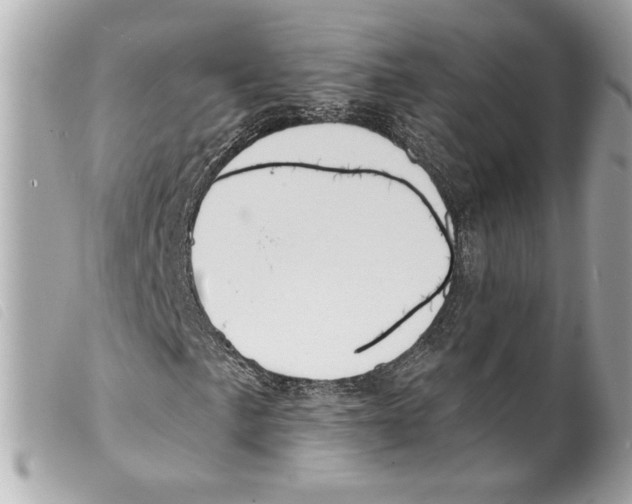 X0000099321057200805301211