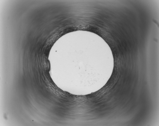 X0000099321058200805301211
