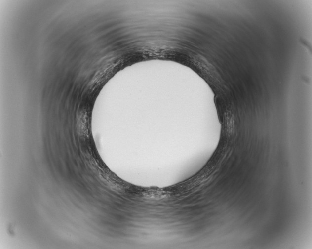 X0000099321060200805301211