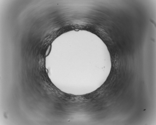 X0000099321061200805301211