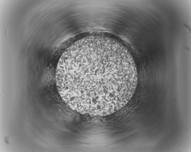 X0000099321063200805301211