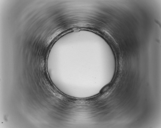 X0000099321065200805301211