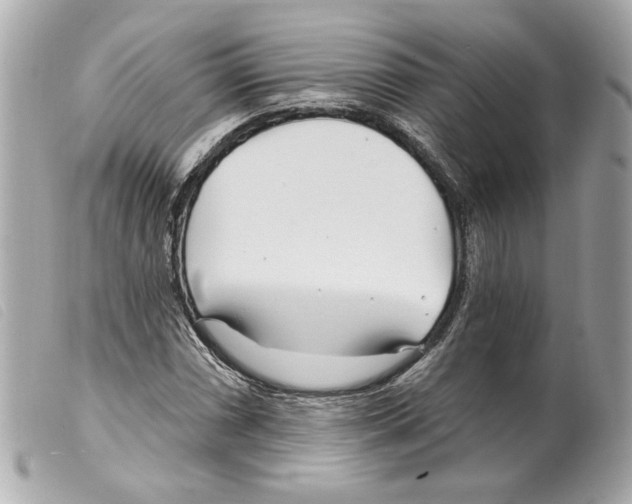 X0000099321066200805301211