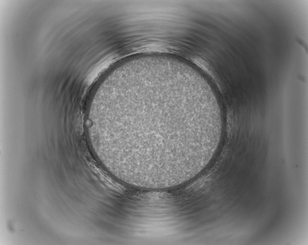 X0000099321067200805301211
