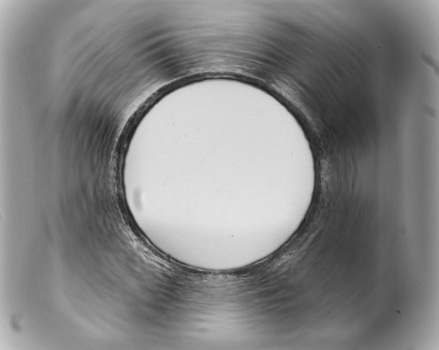 X0000099321068200805301211