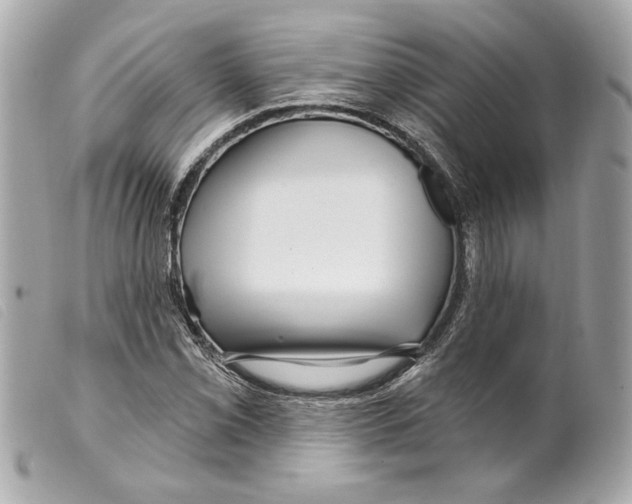 X0000099321069200805301211