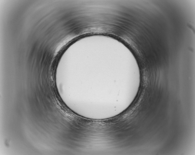 X0000099321070200805301211