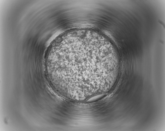 X0000099321071200805301211