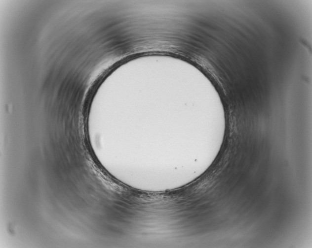 X0000099321072200805301211