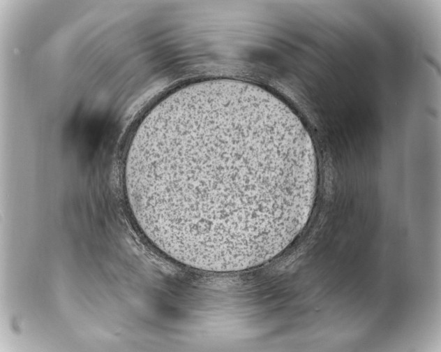 X0000099321074200805301211