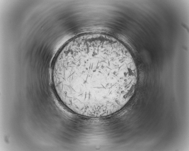 X0000099321079200805301211