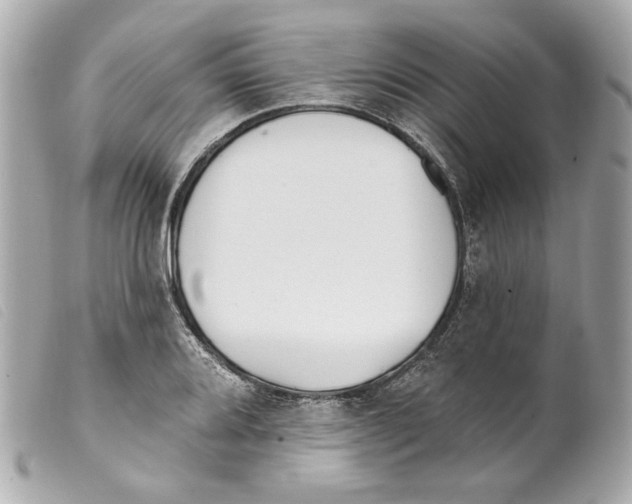 X0000099321080200805301211