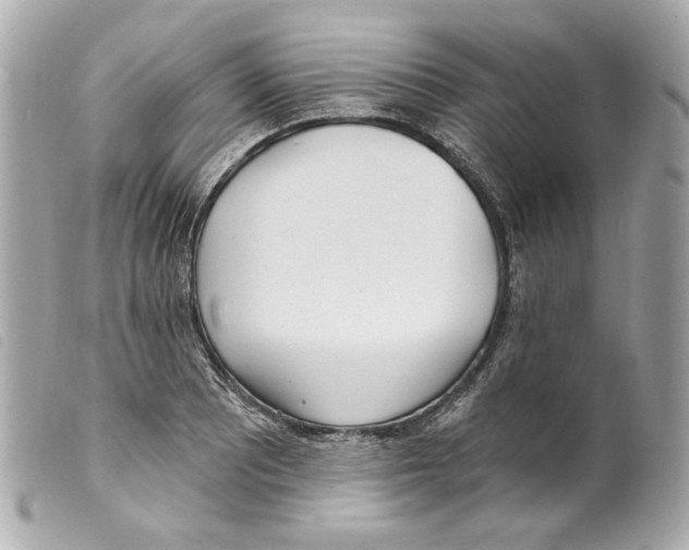 X0000099321081200805301211