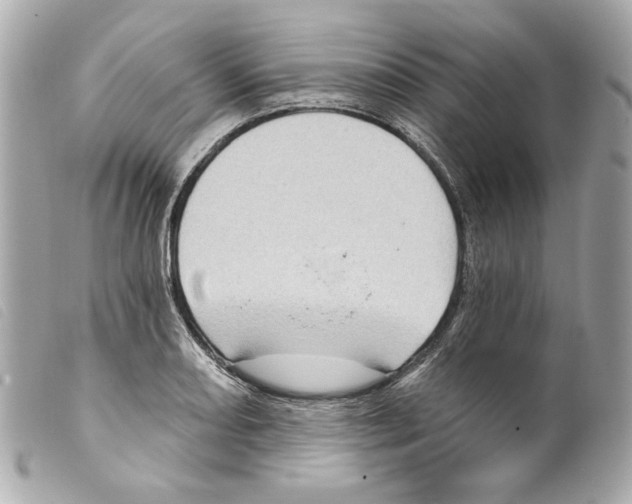 X0000099321082200805301211