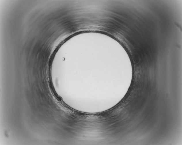 X0000099321085200805301211