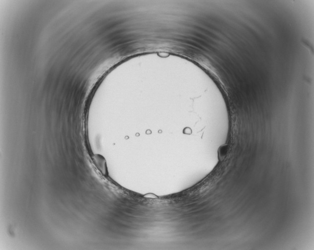 X0000099321088200805301211