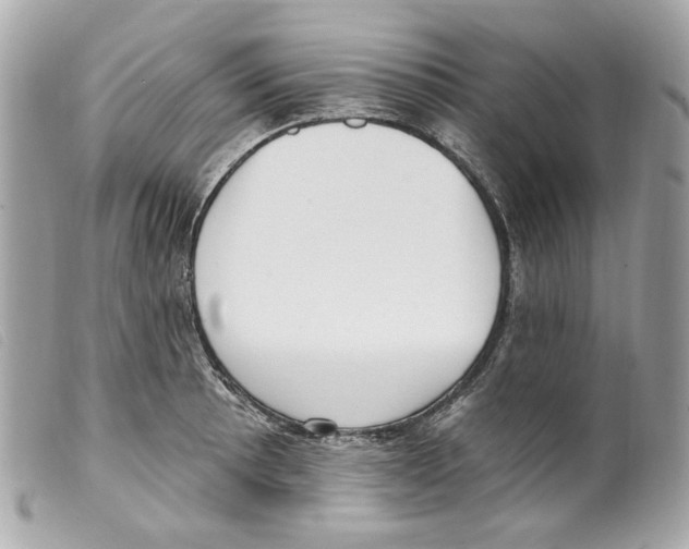 X0000099321089200805301211