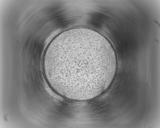 X0000099321090200805301211