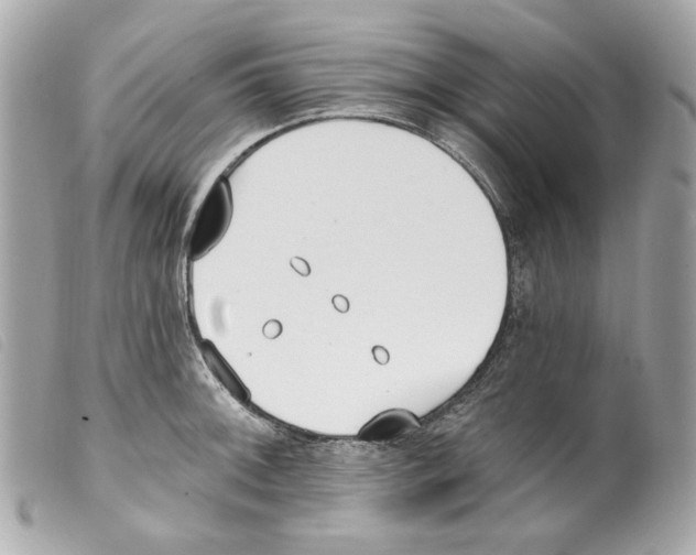 X0000099321092200805301211