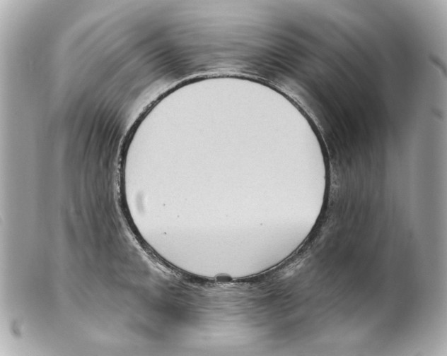 X0000099321093200805301211