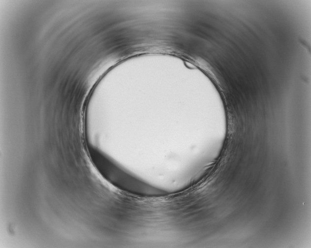 X0000099321095200805301211
